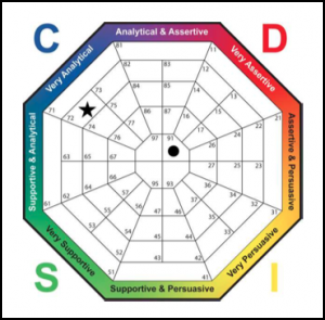 DISCSTYLES™ Leadership Report